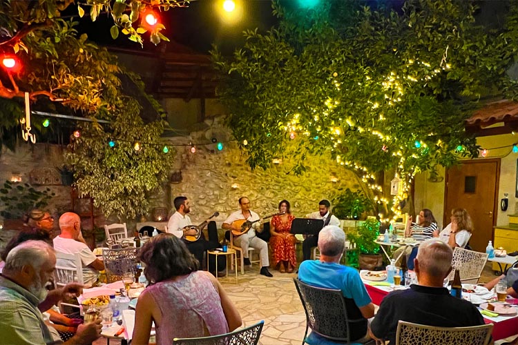 Traditional Greek celebration with food and drinks at Yioryitsas Backyard in Kardamyli, Greece